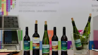 Vinos del Condado de Huelva en talleres de cata de Bin&oacute;mico