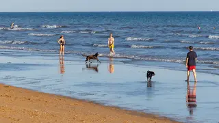 Playa canina del Espig&oacute;n. Foto: Fran &Aacute;lvarez
