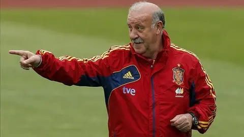 El seleccionador nacional Vicente del Bosque.