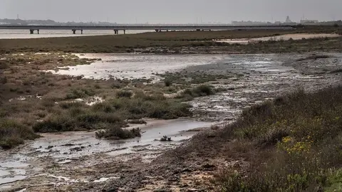 10/03/2018. Huelva. Espaa  Imgenes tomadas el 10 de marzo de 2018 donde se pueden apreciar perfectamente las filtraciones directas al ro Tinto desde las balsas de fosfoyesos pertenecientes a Fertiberia, en el Polo Qumico, en Huelva.  Las filtraciones que se vienen produciendo desde las balsas de fosfoyesos y que llegan al ro Tinto a travs de los esteros se podran haber visto afectadas por las consecuencias del temporal Enma que ha azotado la provincia de Huelva con intensidad la pasada semana.  &copy;Greenpeace Handout/ Pedro Armestre - No sales - No Archives - Editorial Use Only - Free use only for 14 days after release. Photo provided by GREENPEACE, distributed handout photo to be used only to illustrate news reporting or commentary on the facts or events depicted in this image.
