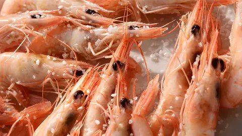 Gamba blanca de Huelva.