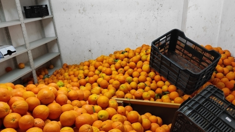 Naranjas incautadas / Imagen de archivo