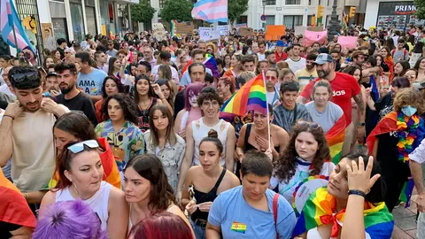 Manifestaci&oacute;n Orgullo 1