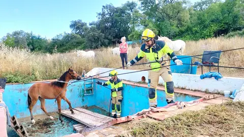 rescate potro1
