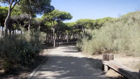 Huelva_IslaCristina_Ruta del Camale&oacute;n_0