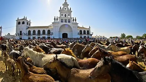 Saca de las Yeguas en El Roc&iacute;o