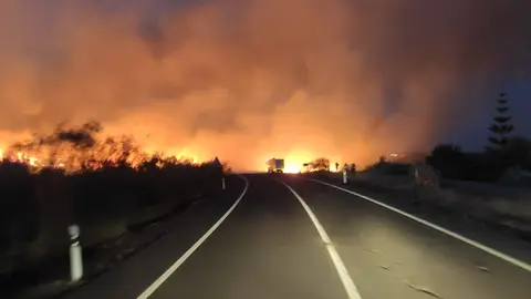 Incendio en el paraje Mogalla en Gibrale&oacute;n
