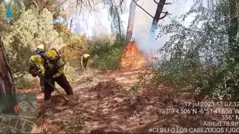 Bomberos del Infoca en Moguer