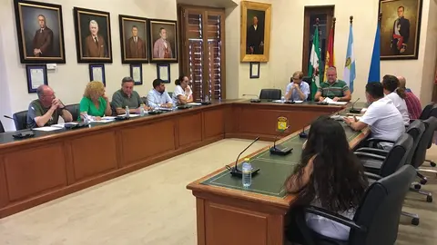 Sal&oacute;n de plenos de Nerva