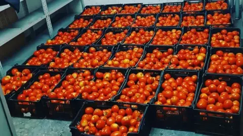 Tomates interceptados por la Polic&iacute;a Local de Huelva