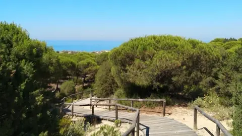 Playa de Los Enebrales