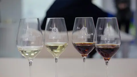 Copa de vinos DOPCondado de Huelva