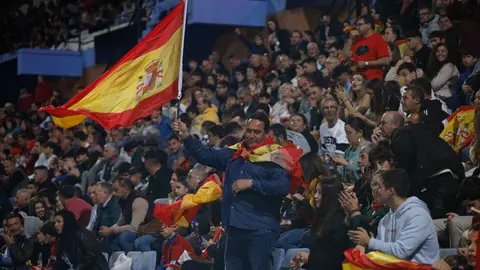 Espa&ntilde;a en el Nuevo Colombino