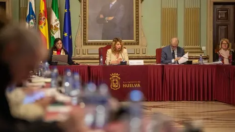 Pleno de Diciembre