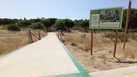 El camale&oacute;n