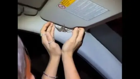 Captura del v&iacute;deo de SocialDrive.es