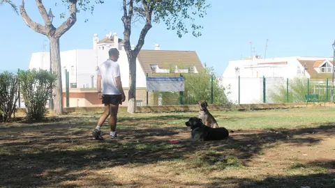 Parque para perros/ Foto de archivo