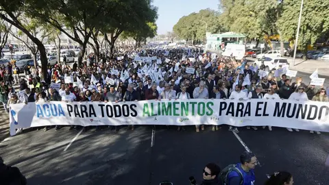 Manifestaci&oacute;n del sector agr&iacute;cola onubense hoy en Sevilla