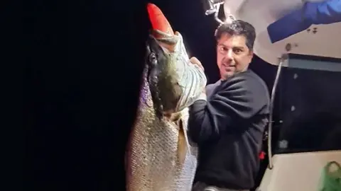 Corvina gigante