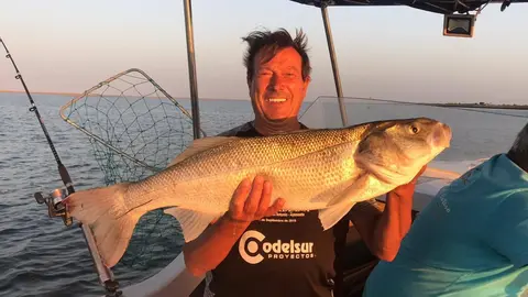 Impresionante r&oacute;balo capturado en aguas del Guadiana