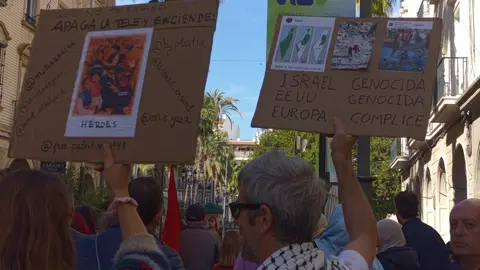 Manifestaci&oacute;n por Palestina/ Foto de @dolochoquerita en X
