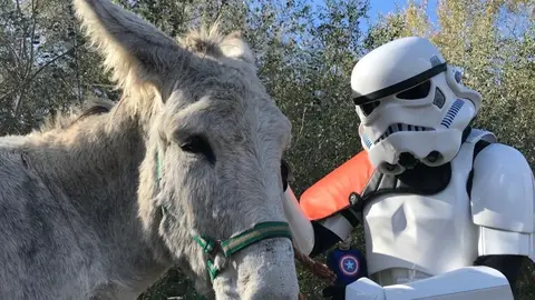 Tropas imperiales con un burro de Do&ntilde;ana