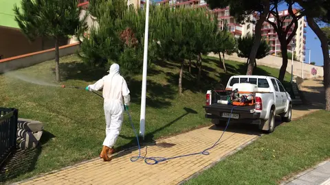 Fumigaci&oacute;n contra los mosquitos en Punta Umbr&iacute;a