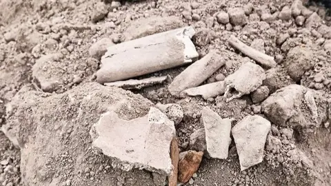 Trozo de cr&aacute;neo y fragmento de f&eacute;mur. Foto: Andaluc&iacute;a Por S&iacute;