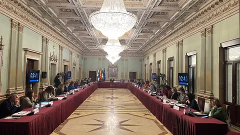 Foto del pleno. Fuente: Ayuntamiento de Huelva
