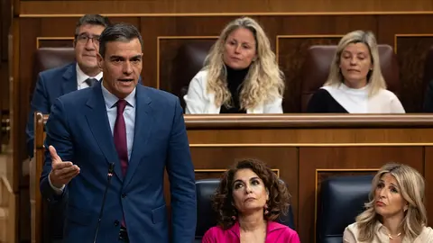 S&aacute;nchez interviene en el Congreso