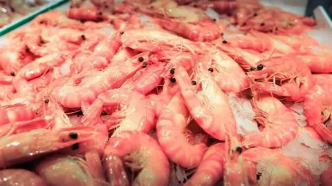 Gambas
