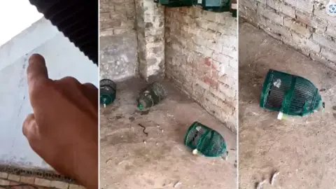 Im&aacute;genes difundidas por el diario Club de Caza