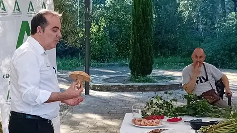 sesiones formativas de los cursos del CEP de Bollullos/Valverde.