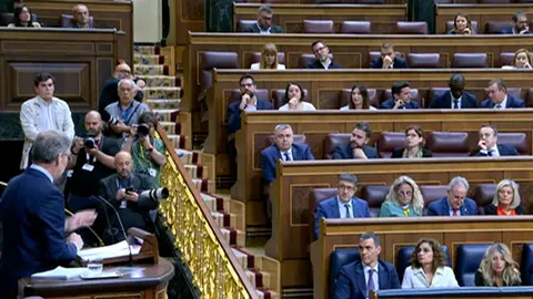 Momento de la 'orden' en la sesi&oacute;n plenaria del Congreso.