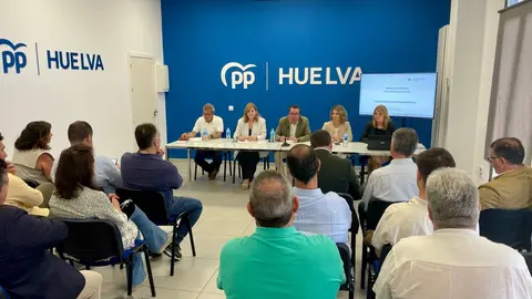 Comit&eacute; de Alcaldes del PP