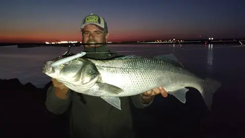 Incre&iacute;ble r&oacute;balo capturado en el Espig&oacute;n de Huelva. Foto: Pesca Huelva