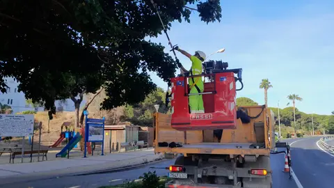 Operarios talan las ramas