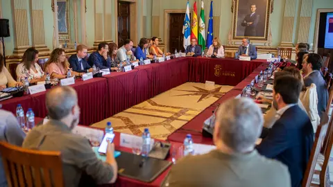 Reuni&oacute;n de la Comisi&oacute;n.