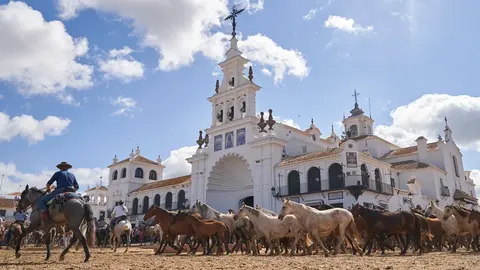 Las yeguas a su paso por el Santuario del Roc&iacute;o. Foto: Ayuntamiento de Almonte