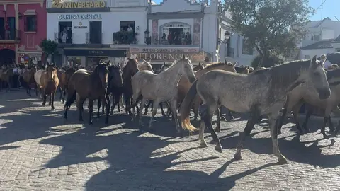 Tropas entrando en Almonte. Foto: Teleonuba