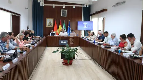 Pleno municipal de Cartaya.