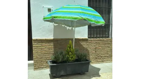 Una vecina "planta" una sombrilla de playa a una maceta para protegerla del sol. Foto: Ayuntamiento de Niebla