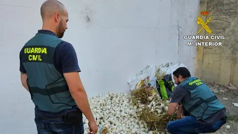La Guardia Civil en el lugar de la detenci&oacute;n (Foto: Guardia Civil)