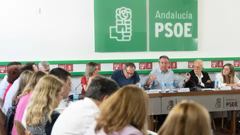 Reuni&oacute;n de la Ejecutiva de Espadas. Foto: PSOE-A