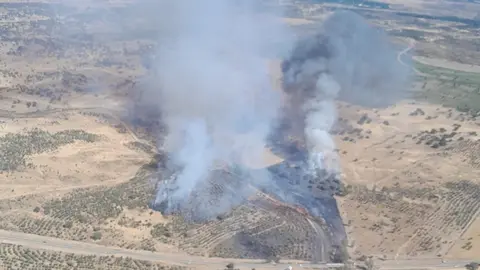 Incendio en Puebla de Guzm&aacute;n. Foto: Plan Infoca