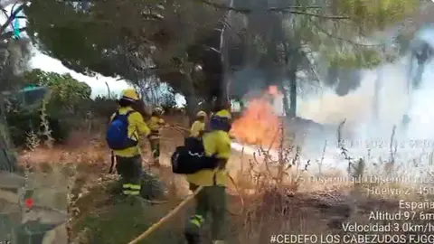 Bomberos en el incendio forestal de Cartaya. Foto: Plan Infoca