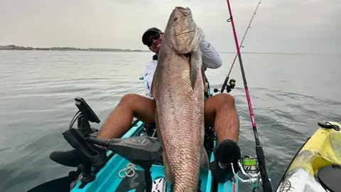 Impresionante corvina capturada en Matalasca&ntilde;as. Foto: Pesca Huelva