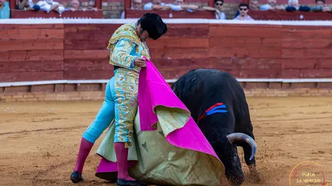 Cuarto d&iacute;a de toros 1