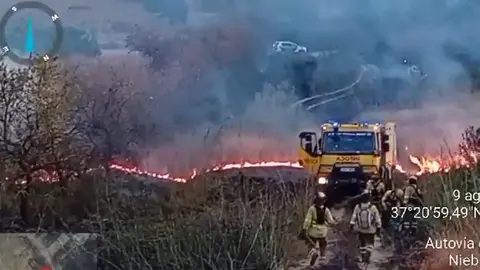 Efectivos luchan contra las llamas.