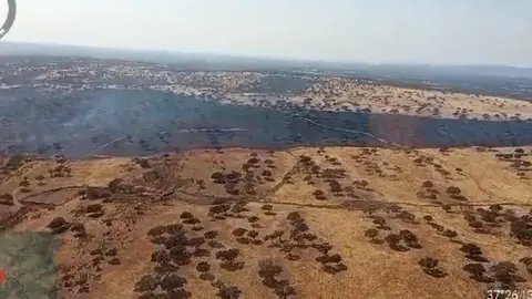 Zona afectada del incendio declarado en Villanueva de los Castillejos. Foto: Infoca.